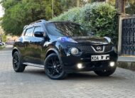 2013 Nissan Juke