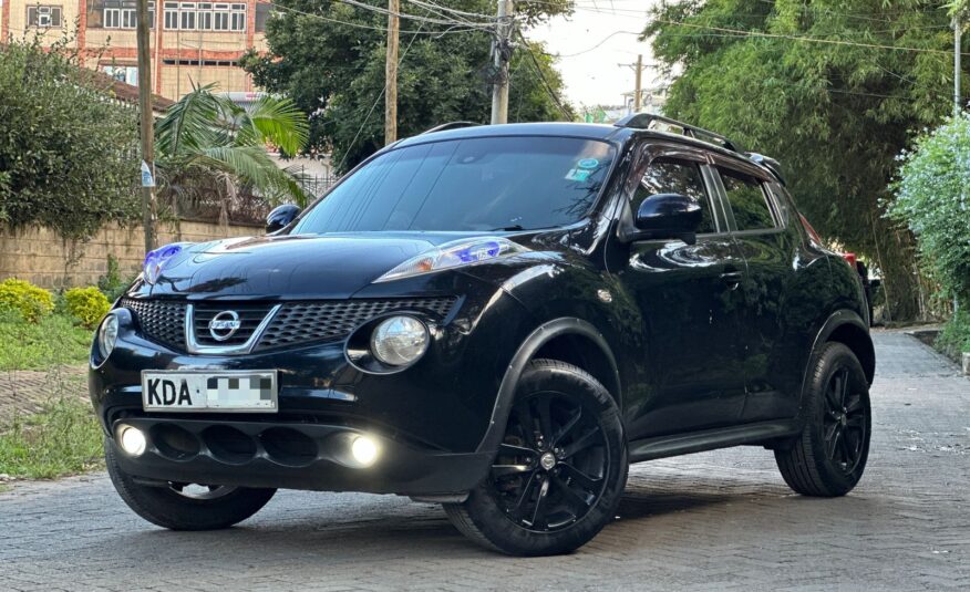 2013 Nissan Juke