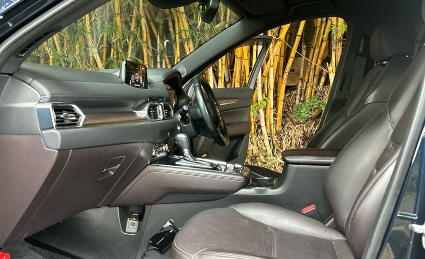 2016 Mazda CX-8 XDL AWD